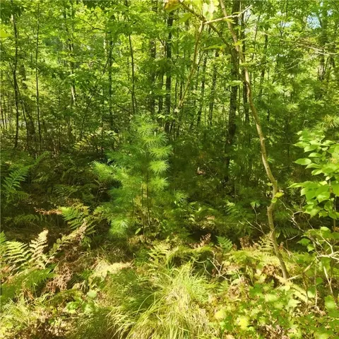 70 Billy Boy Rd, Stone Lake, WI 54876