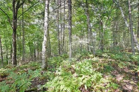 lot6 Senesac Rd, Radisson, WI 54867 photo 14