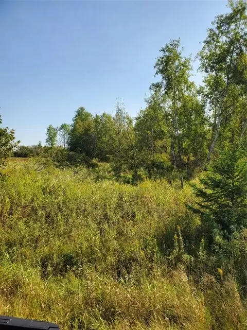 0 330th St, Holcombe, WI 54745