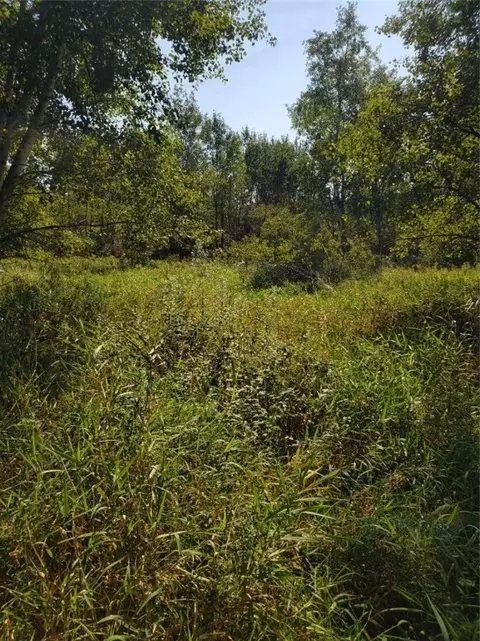 0 330th St, Holcombe, WI 54745 photo 5
