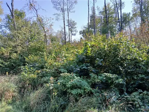Outlots 5, Cable, WI 54821
