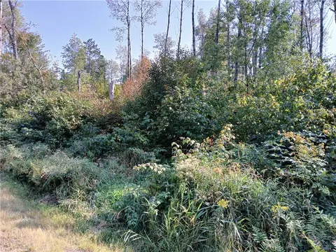 Outlots 5, Cable, WI 54821 photo 2