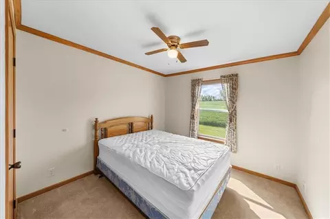 n8538 410th Street, Spring Valley, WI 54767 photo 20