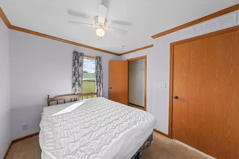 n8538 410th Street, Spring Valley, WI 54767 photo 22