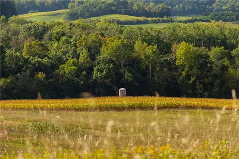 s397 Sand Road, Mondovi, WI 54755