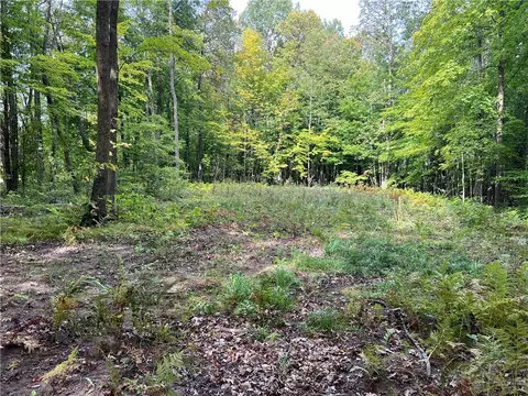 Nnn Stowe Road, Birchwood, WI 54817