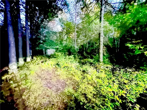 lot2 Bald Eagle Dr, Trego, WI 54888