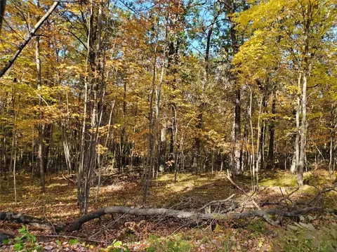 80 295th Ave, Holcombe, WI 54745 photo 2