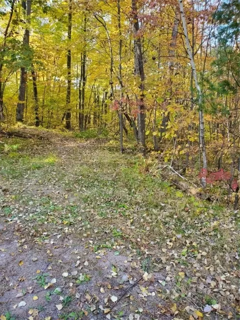 80 295th Ave, Holcombe, WI 54745 photo 4