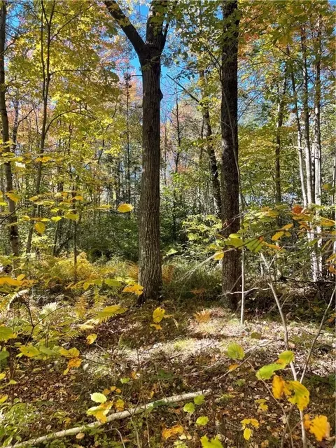 40 Acres 136th St, New Auburn, WI 54757