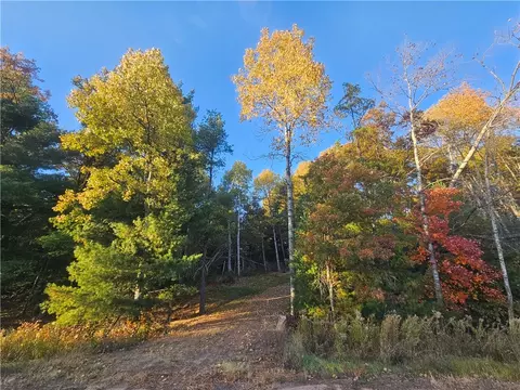 Nnn Bushey Road, Danbury, WI 54830
