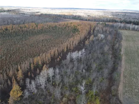 tbd Cemetery Rd, Radisson, WI 54867 photo 2