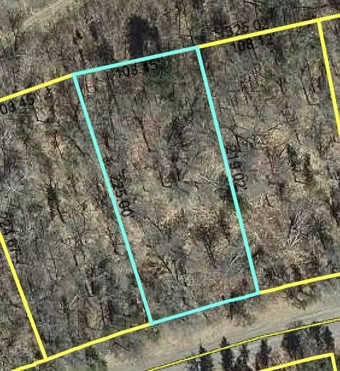 lot156 Deerpath Rd, Danbury, WI 54830