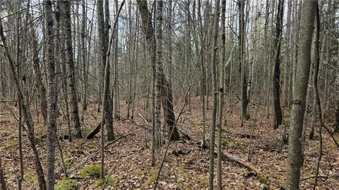 12331 W Delap Ln, Couderay, WI 54828