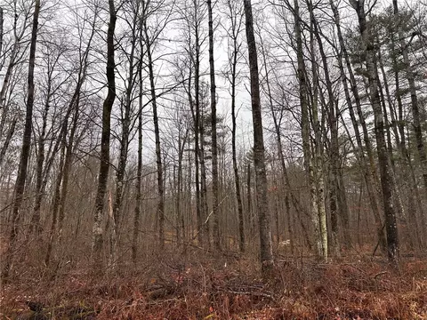 9081 N Mcgilligan Rd, Hayward, WI 54843