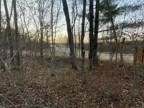 0 Haddick Rd, Springbrook, WI 54875 photo 3