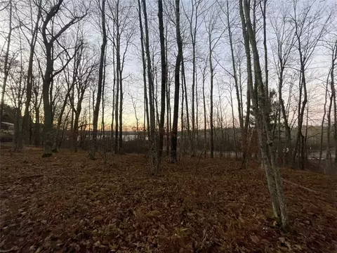 0 Haddick Rd, Springbrook, WI 54875 photo 7