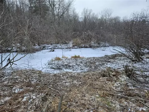1 68 Acres On West Ln, Winter, WI 54896 photo 11