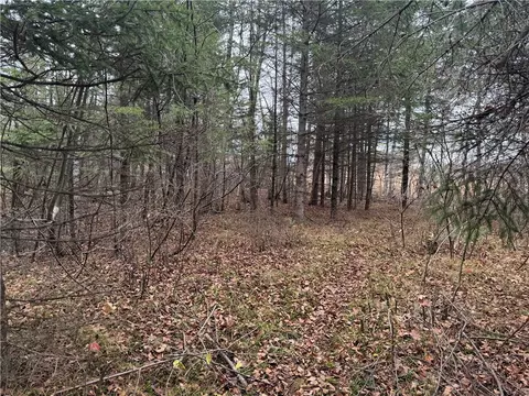 1 68 Acres On West Ln, Winter, WI 54896 photo 9