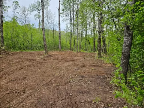 1 68 Acres On West Ln, Winter, WI 54896 photo 3