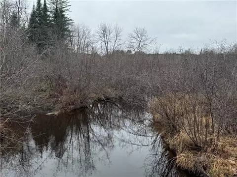 1 68 Acres On West Ln, Winter, WI 54896 photo 6