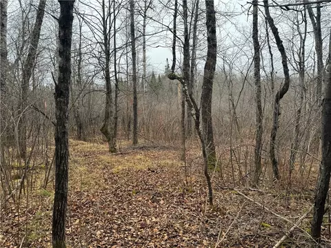 1 68 Acres On West Ln, Winter, WI 54896 photo 8
