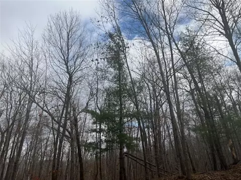 0 Spring Hill Rd, Shell Lake, WI 54871 photo 7