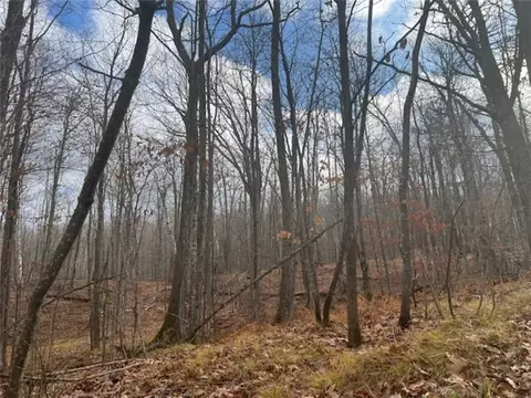 0 Spring Hill Rd, Shell Lake, WI 54871 photo 8