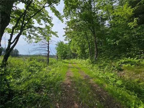 lot48 Ursa Rd, Hayward, WI 54843