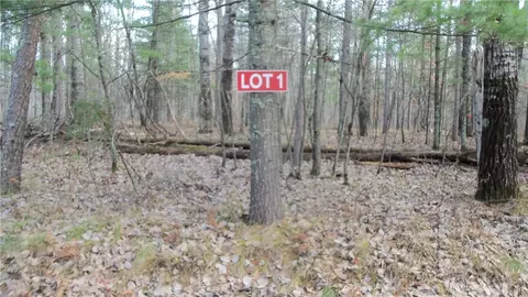 lot1 Gilmore Dr, Minong, WI 54859