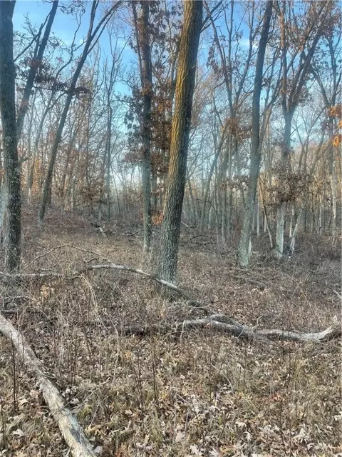 17 Acres Lowes Creek Rd, Eleva, WI 54738 photo 5