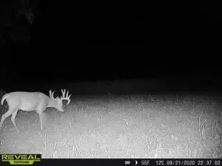 17 Acres Lowes Creek Rd, Eleva, WI 54738 photo 22