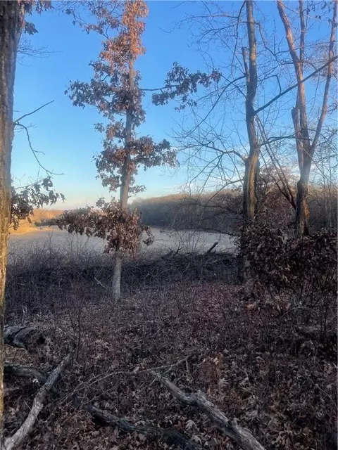 17 Acres Lowes Creek Rd, Eleva, WI 54738 photo 7