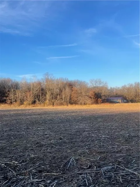 17 Acres Lowes Creek Rd, Eleva, WI 54738 photo 10