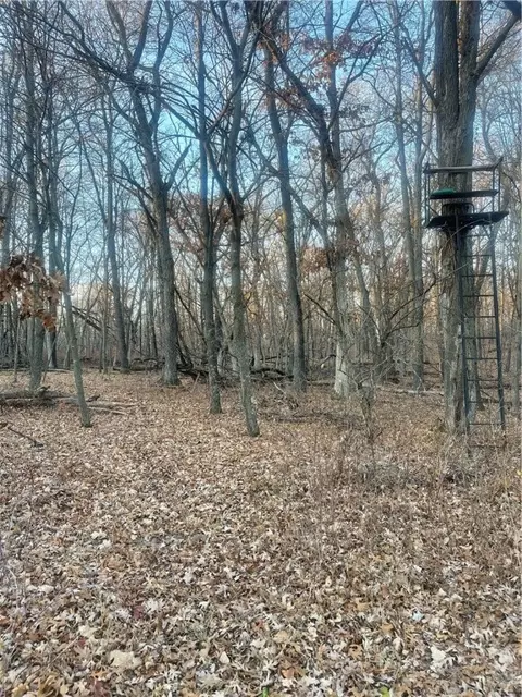17 Acres Lowes Creek Rd, Eleva, WI 54738 photo 21
