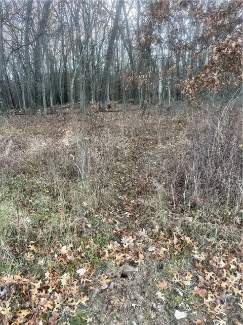 17 Acres Lowes Creek Rd, Eleva, WI 54738 photo 11