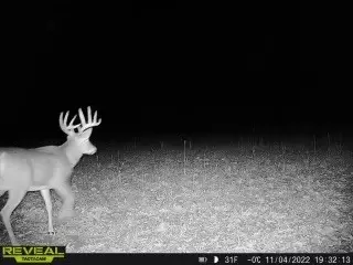17 Acres Lowes Creek Rd, Eleva, WI 54738 photo 16