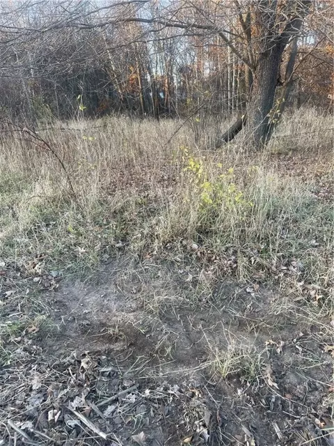 17 Acres Lowes Creek Rd, Eleva, WI 54738 photo 19