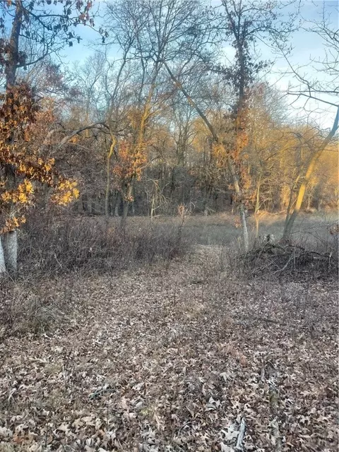17 Acres Lowes Creek Rd, Eleva, WI 54738 photo 18
