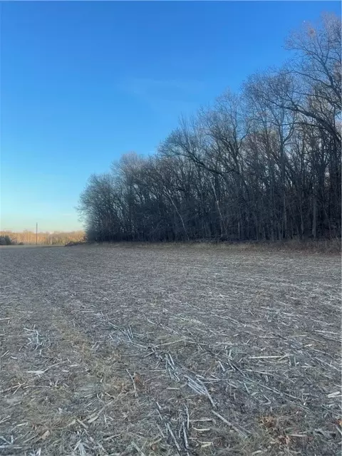 17 Acres Lowes Creek Rd, Eleva, WI 54738 photo 9
