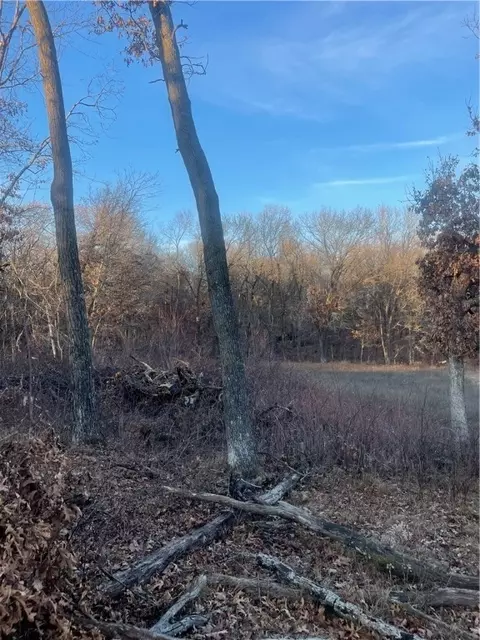17 Acres Lowes Creek Rd, Eleva, WI 54738 photo 14