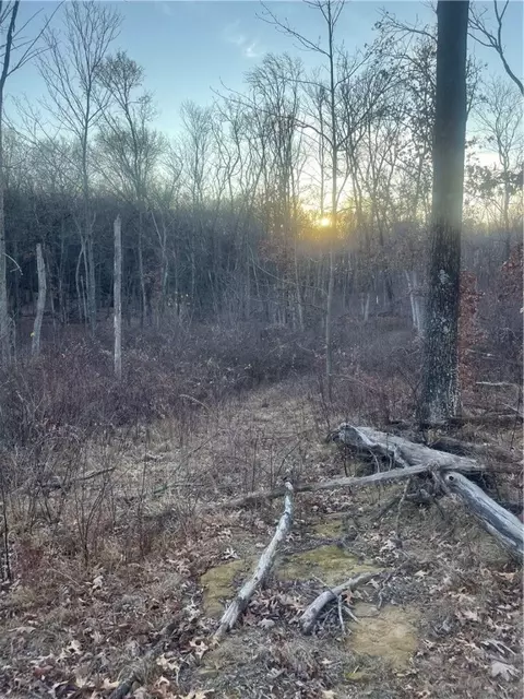 17 Acres Lowes Creek Rd, Eleva, WI 54738 photo 15
