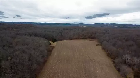 17 Acres Lowes Creek Rd, Eleva, WI 54738 photo 17