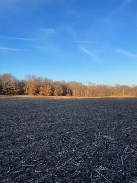 17 Acres Lowes Creek Rd, Eleva, WI 54738 photo 12