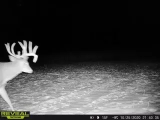 17 Acres Lowes Creek Rd, Eleva, WI 54738 photo 8