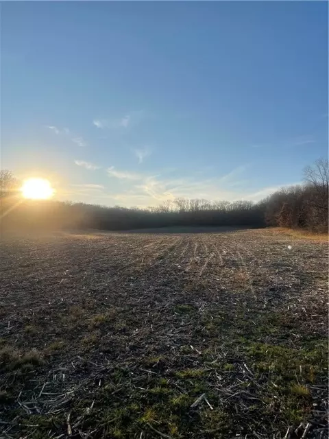 17 Acres Lowes Creek Rd, Eleva, WI 54738 photo 6