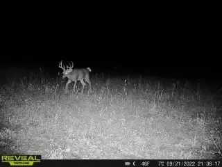 17 Acres Lowes Creek Rd, Eleva, WI 54738 photo 20