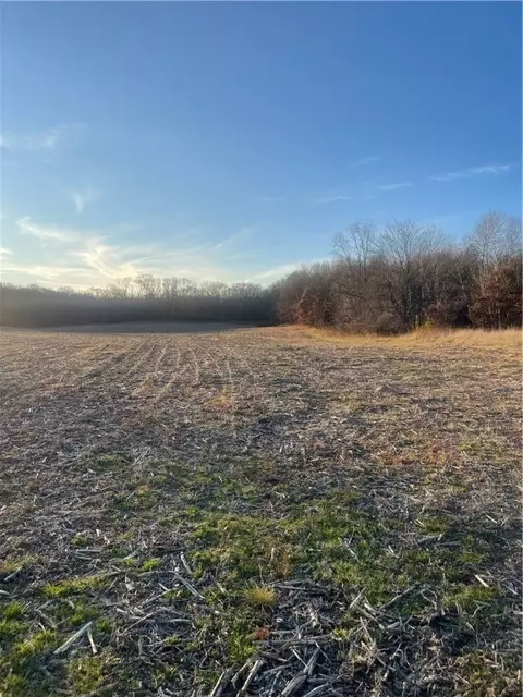 17 Acres Lowes Creek Rd, Eleva, WI 54738 photo 4