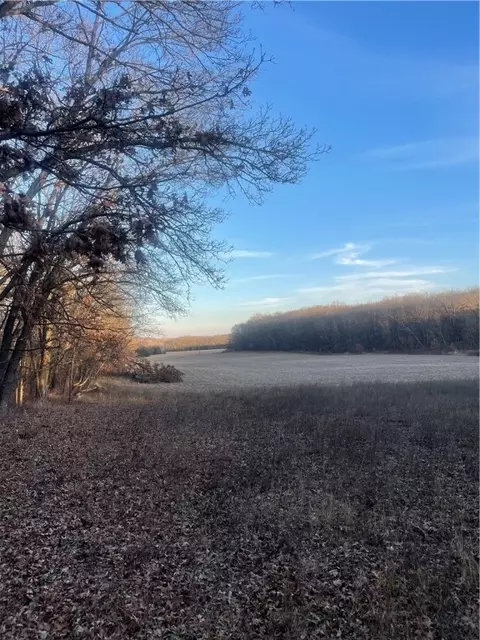 17 Acres Lowes Creek Rd, Eleva, WI 54738 photo 3