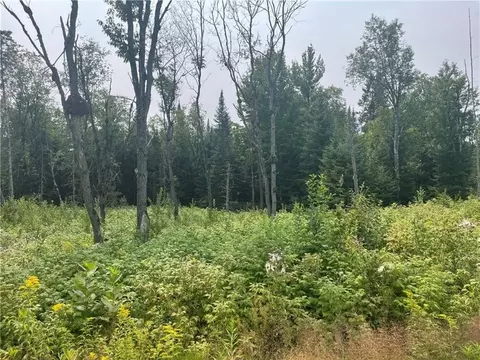 6 Acres On Old 13 Rd, Butternut, WI 54514